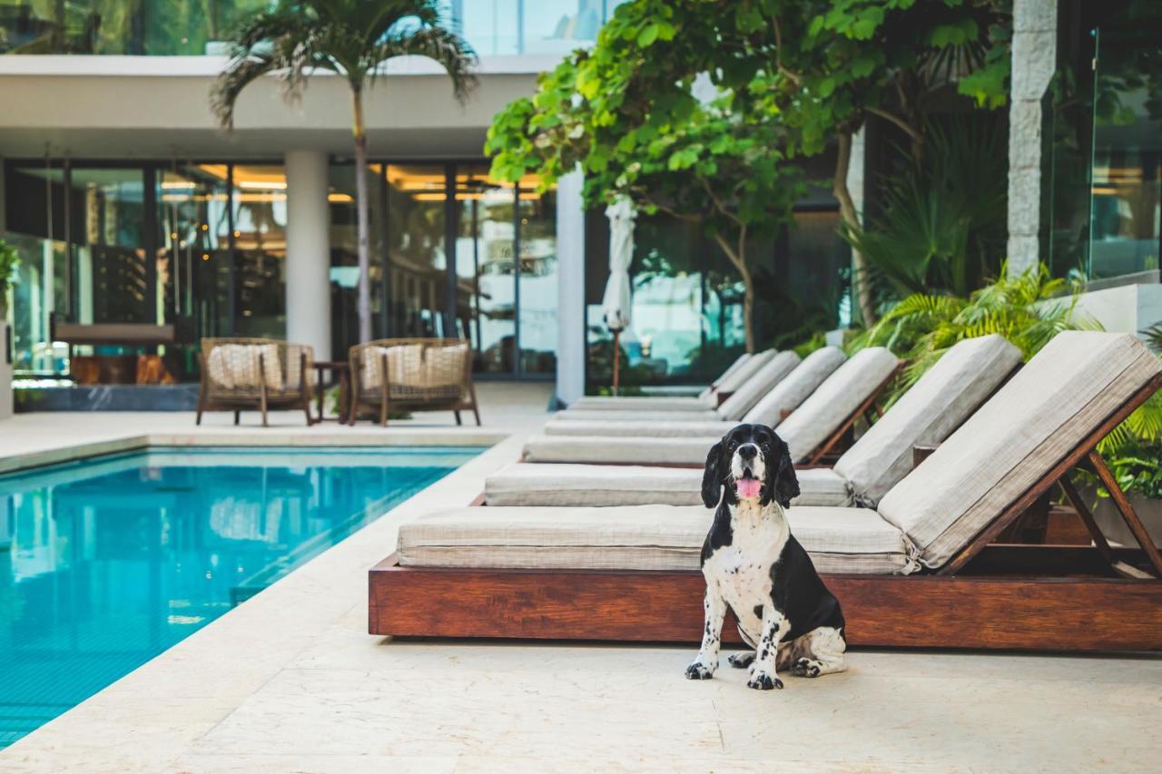 Thompson Playa Del Carmen Beach House, By Hyatt エクステリア 写真